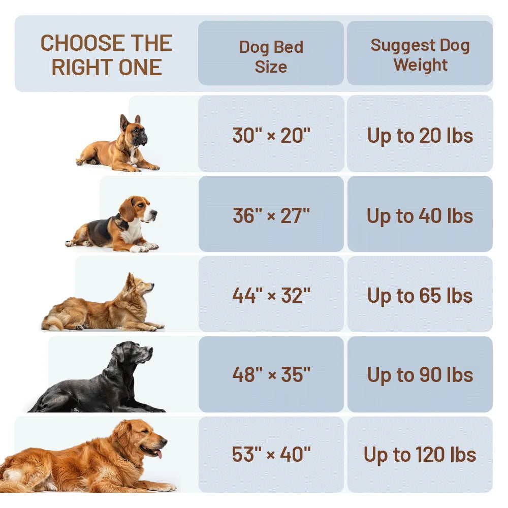 Soft Orthopedic Memory Foam Pet Bed Reversible Velvet Design Waterproof Non-Slip Base Washable