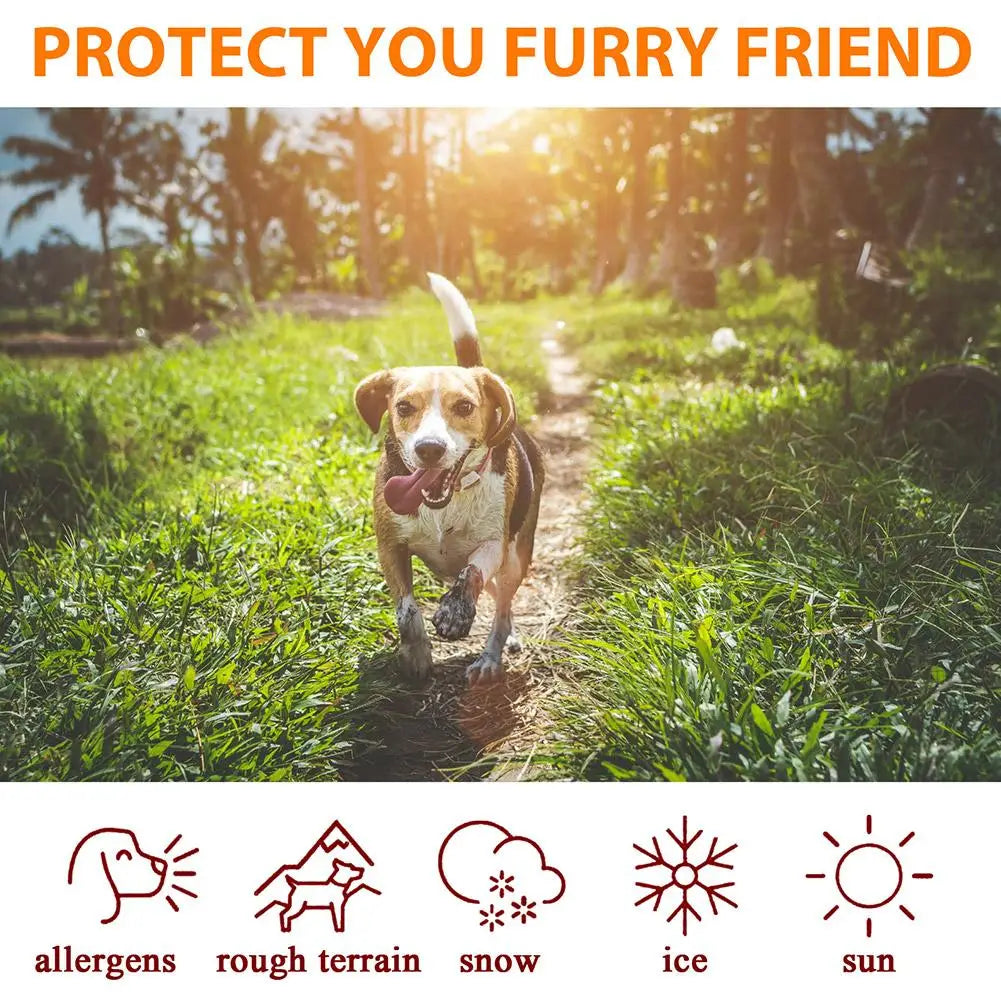 Pet Paw Balm With Protective Oil For Cats And Dogs