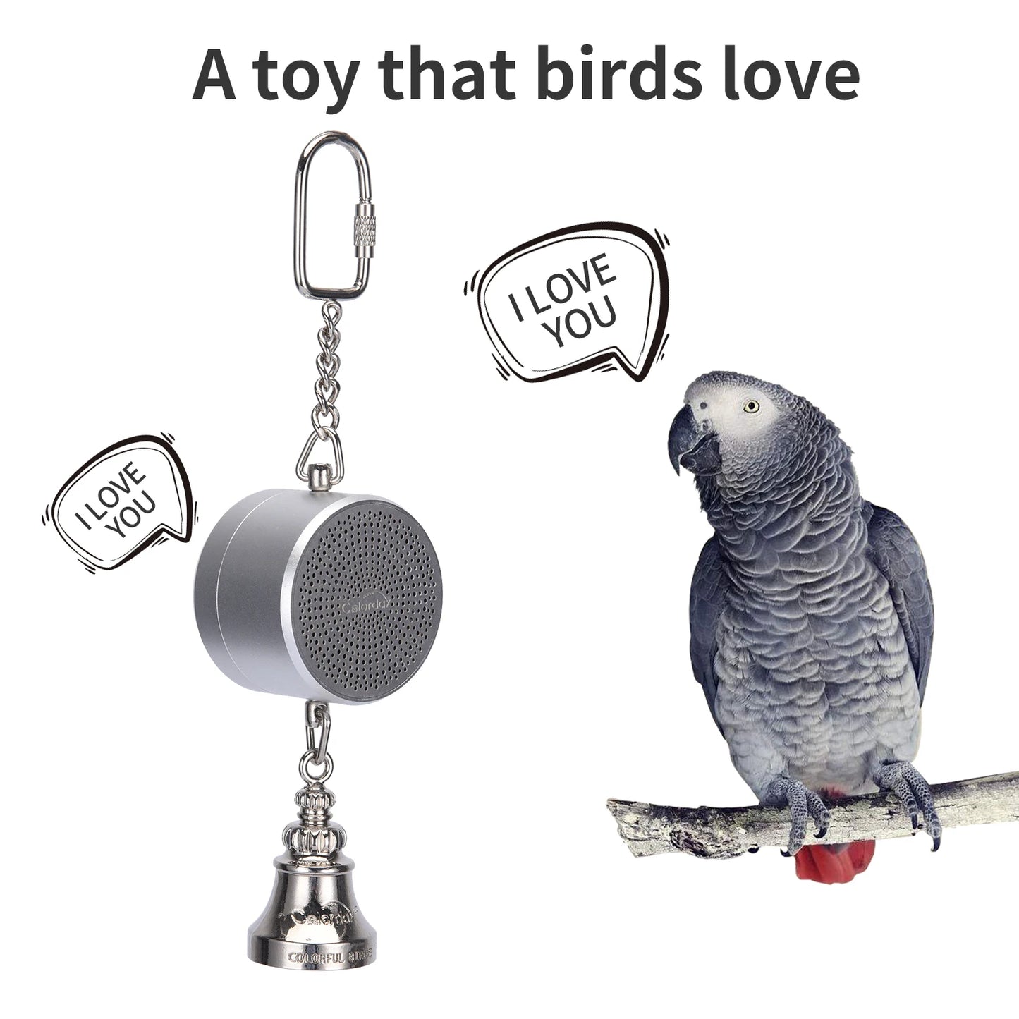 Parrot Talking Coach Interactive Recording Playback