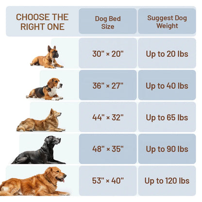 Soft Orthopedic Memory Foam Pet Bed Reversible  Velvet Design Waterproof Non-Slip Base Washable