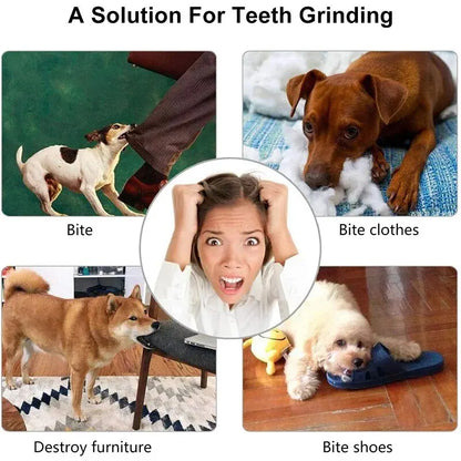 Dog Toy Ball, Nontoxic Bite Resistant Toy Ball for Pets With Food Treat