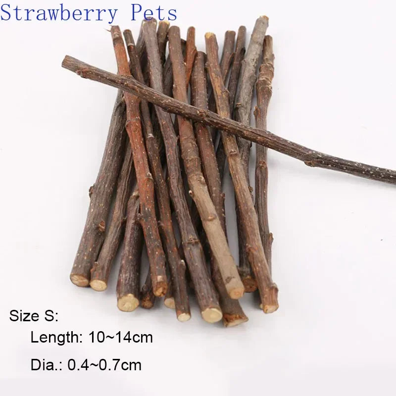5pcs 10pcs 40pcs Chew Stick Apple Tree Branch Hamster Squirrel Natural Toys