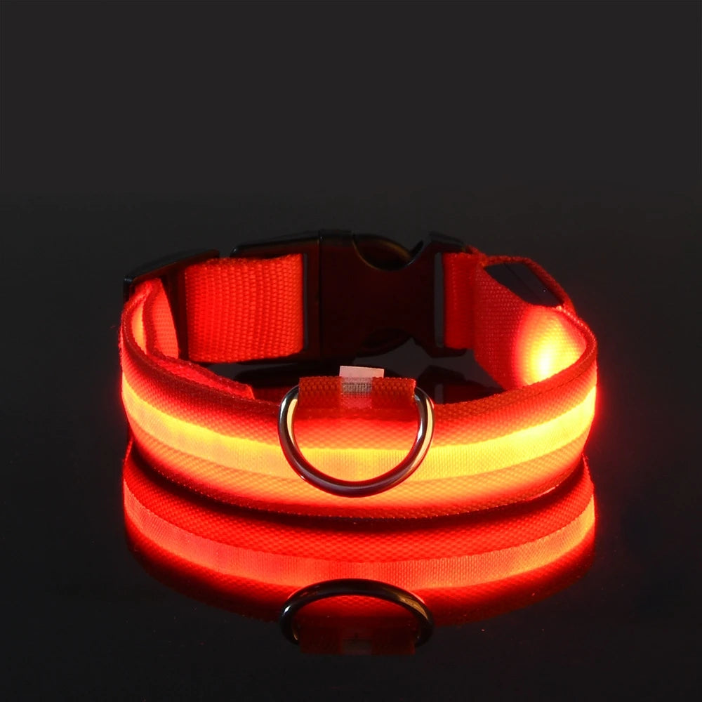 Nylon LED Glow In The Dark Dog Leash