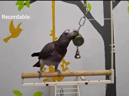 Parrot Talking Coach Interactive Recording Playback