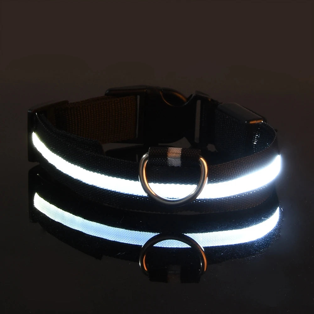 Nylon LED Glow In The Dark Dog Leash