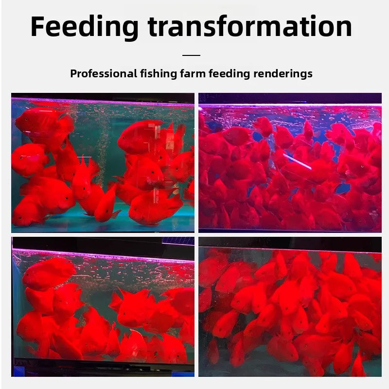 SYSENCIAGA Parrot Fish Food with Color Enhancers-Red Intensifying Formula