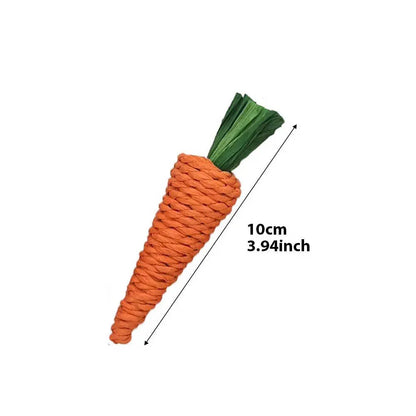 Pet Parrot Chewing Hanging Toys