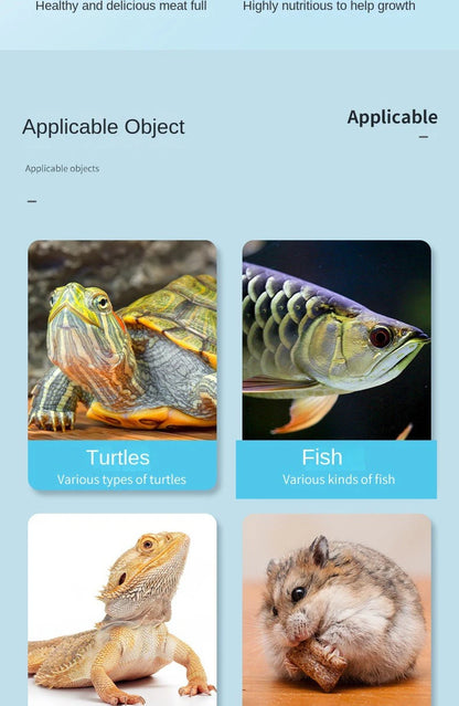 Small Animals Food Dried Bread Worm