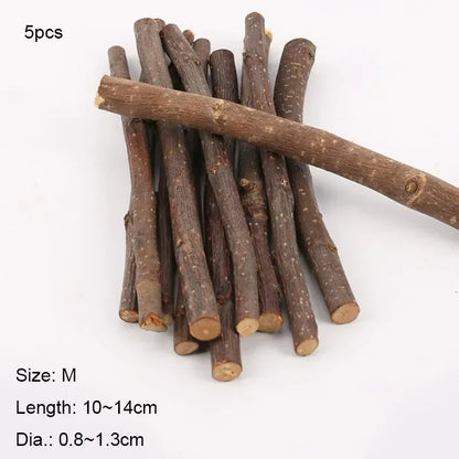 5pcs 10pcs 40pcs Chew Stick Apple Tree Branch Hamster Squirrel Natural Toys