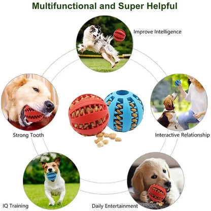 Dog Toy Ball, Nontoxic Bite Resistant Toy Ball for Pets With Food Treat