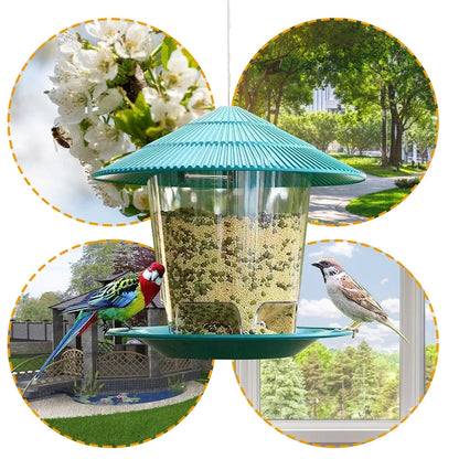 Bird Automatic Outdoor Feeder