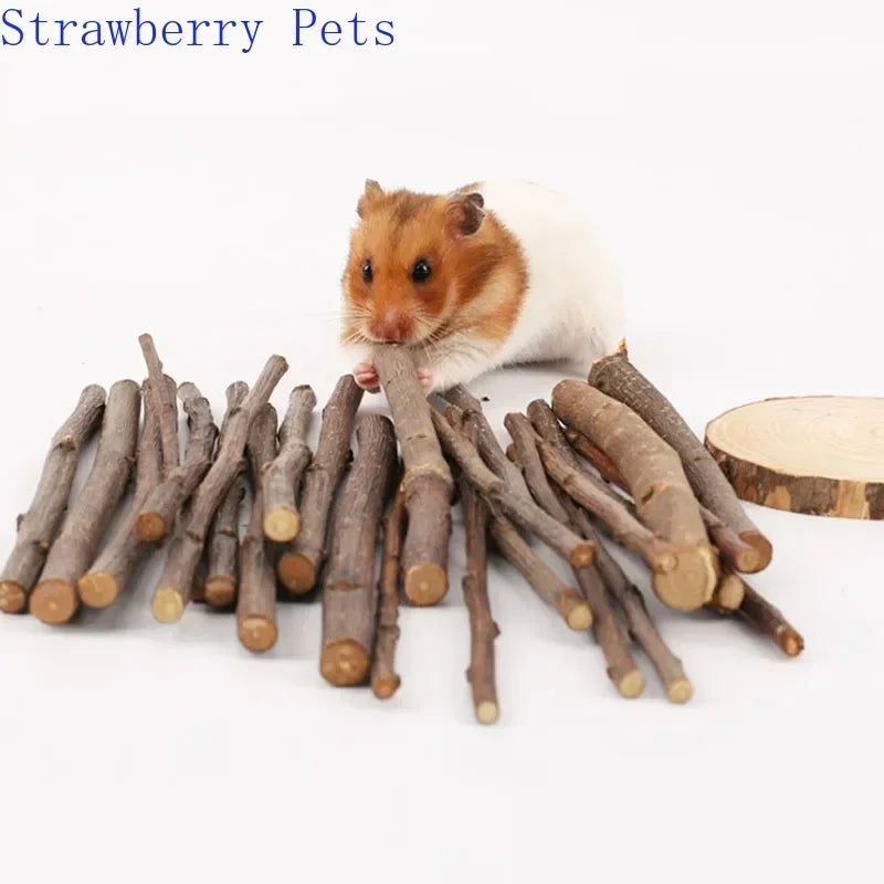 5pcs 10pcs 40pcs Chew Stick Apple Tree Branch Hamster Squirrel Natural Toys