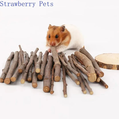 5pcs 10pcs 40pcs Chew Stick Apple Tree Branch Hamster Squirrel Natural Toys