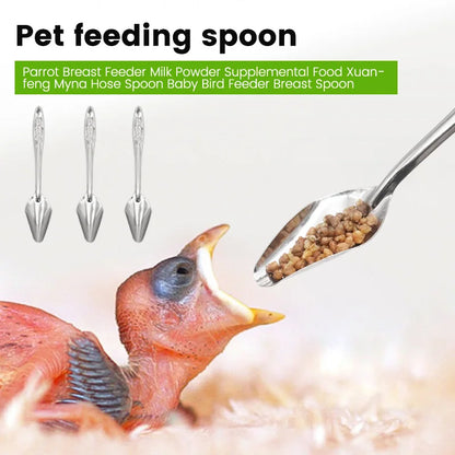 Pet Bird Feeding Food Spoon Stainless Steel
