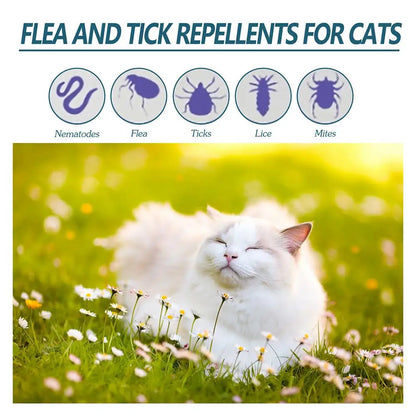 Pet Flea, Lice, Insect Killer Drops, Relieves Itching