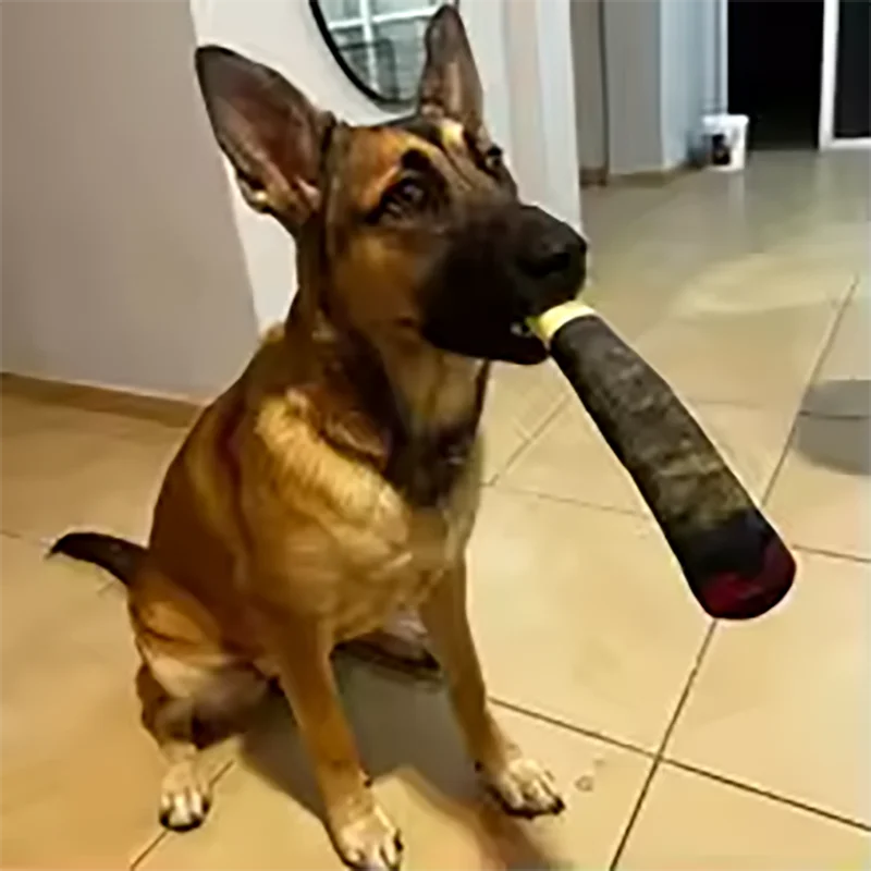 Funny Interactive Dog Toy Cigar Design Plush Squeaky