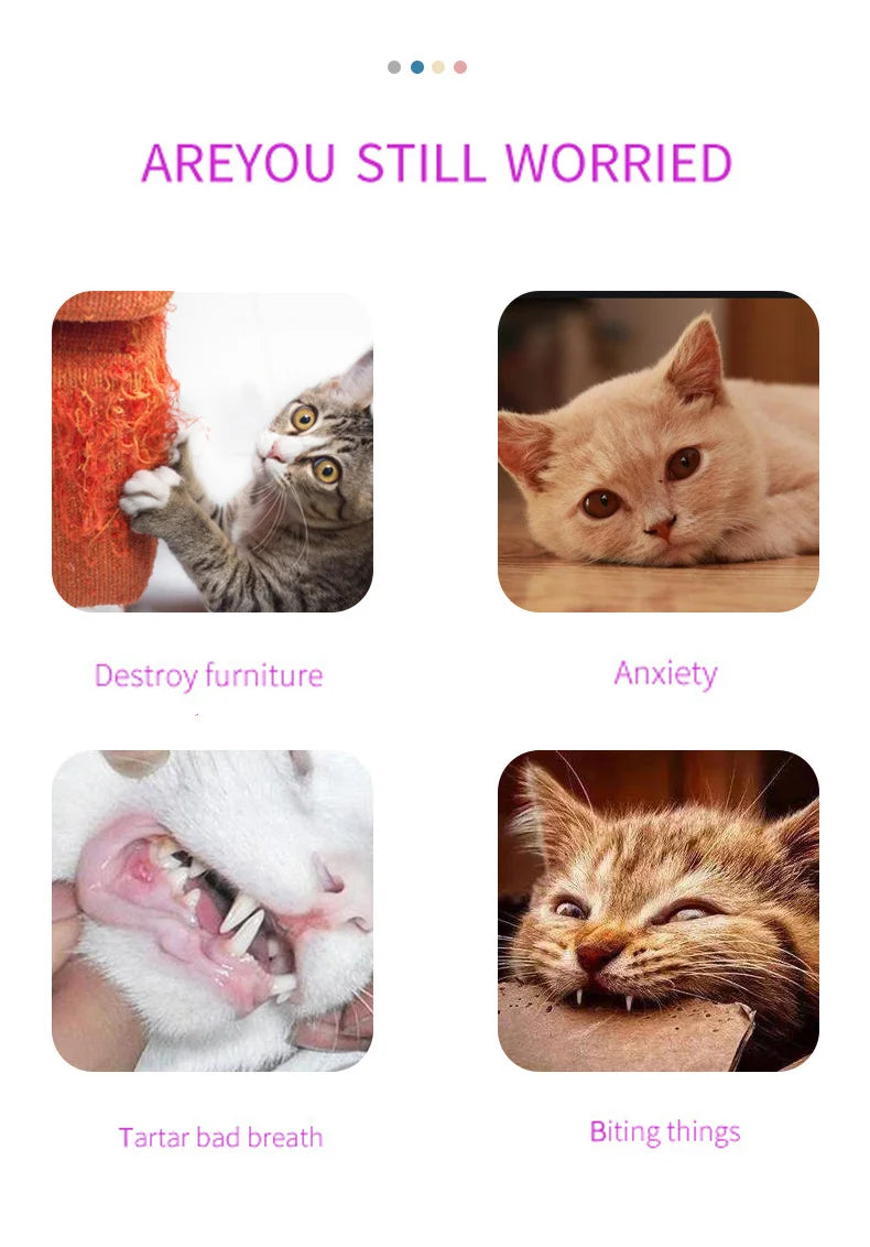 Cat Corner Wall Mounted Scratching Pad Massage Comb Self Groomer Tool For Long Short Fur Kittens