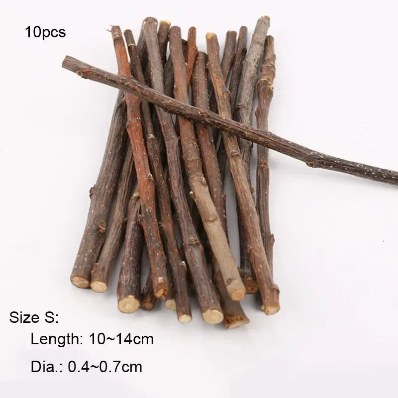 5pcs 10pcs 40pcs Chew Stick Apple Tree Branch Hamster Squirrel Natural Toys