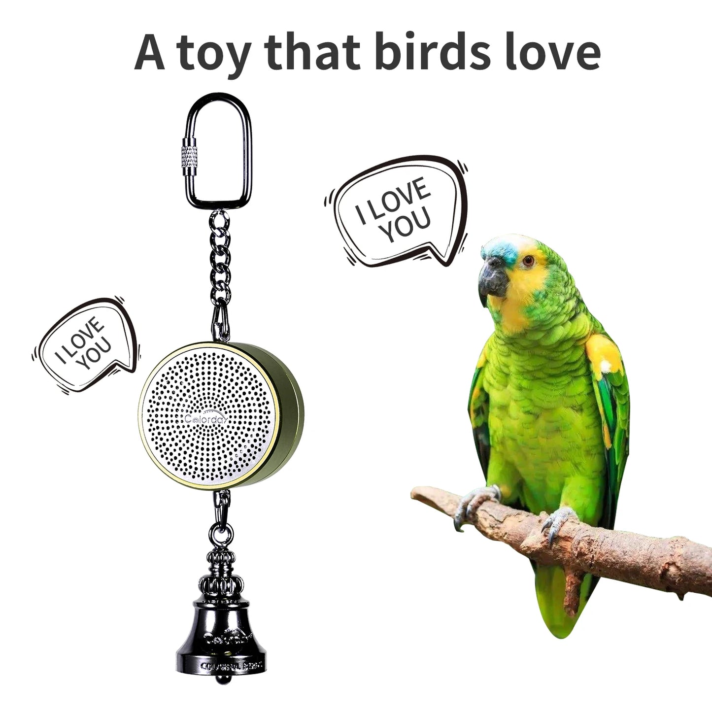 Parrot Talking Coach Interactive Recording Playback