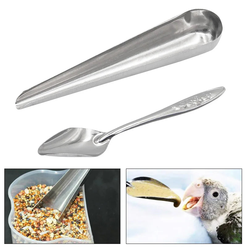 Pet Bird Feeding Food Spoon Stainless Steel