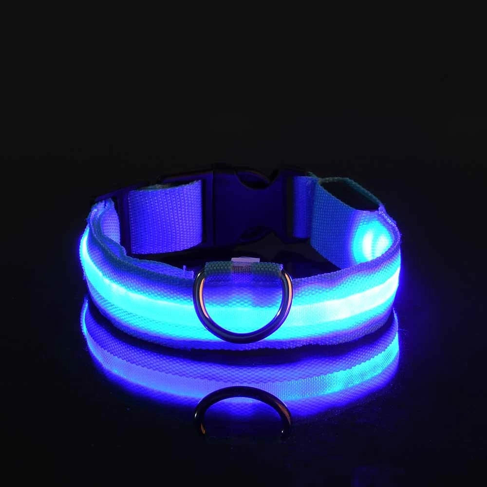 Nylon LED Glow In The Dark Dog Leash