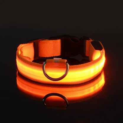 Nylon LED Glow In The Dark Dog Leash