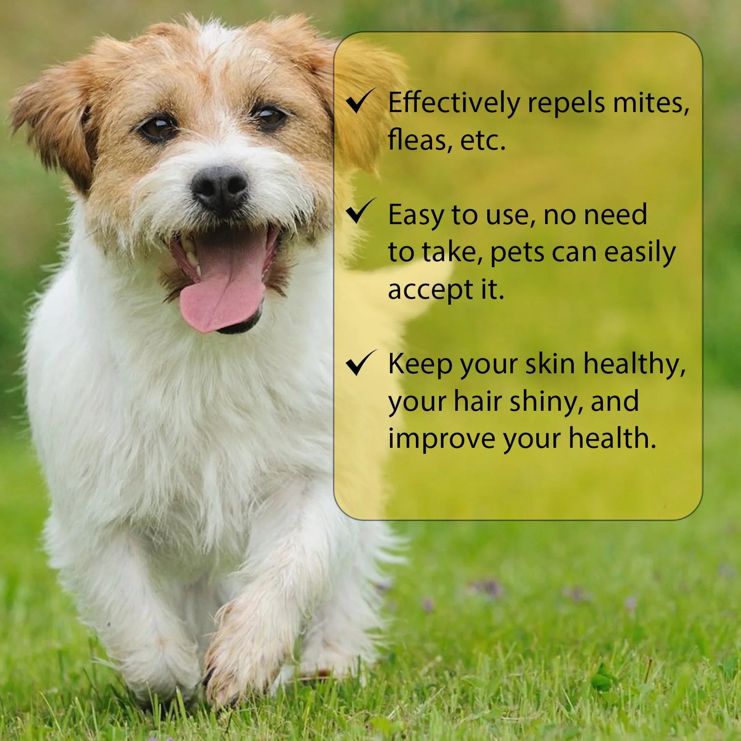 Anti Flea Drops, Lice Remover, Relieve Skin Itching