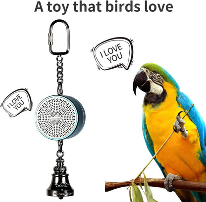 Parrot Talking Coach Interactive Recording Playback