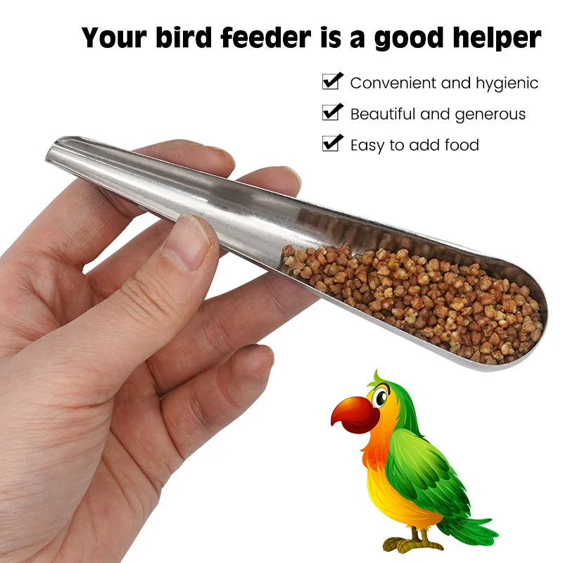 Pet Bird Feeding Food Spoon Stainless Steel