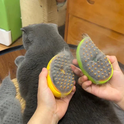 Cat Dog Steam Spray Brush For Massage And Grooming 3 in 1