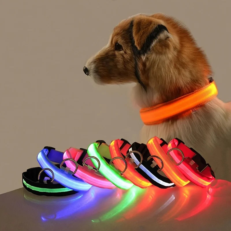 Nylon LED Glow In The Dark Dog Leash