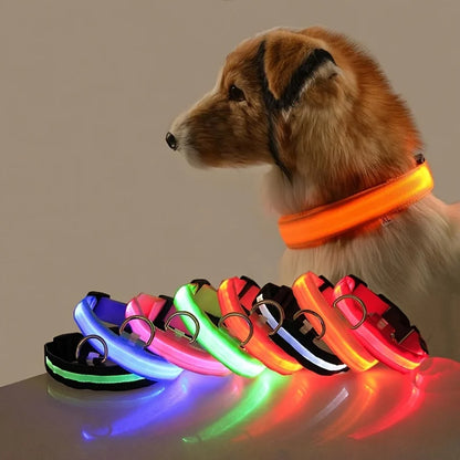 Nylon LED Glow In The Dark Dog Leash
