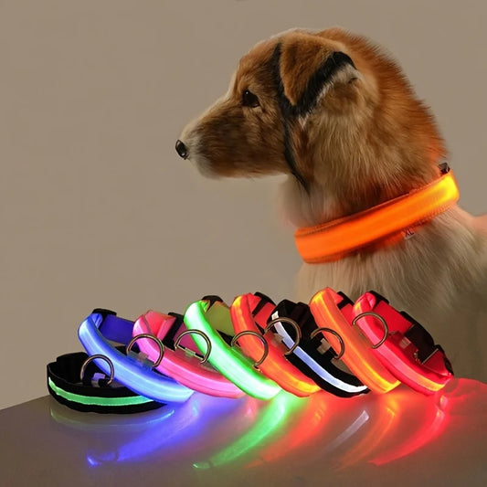 Nylon LED Glow In The Dark Dog Leash