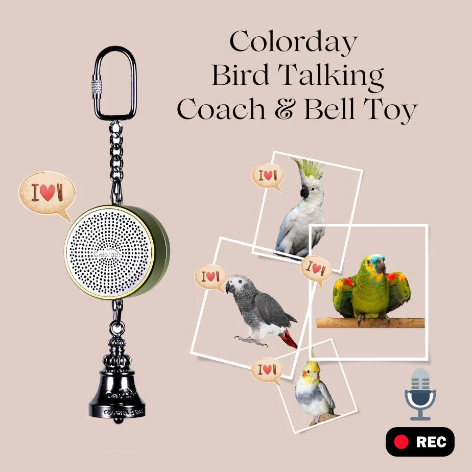 Parrot Talking Coach Interactive Recording Playback