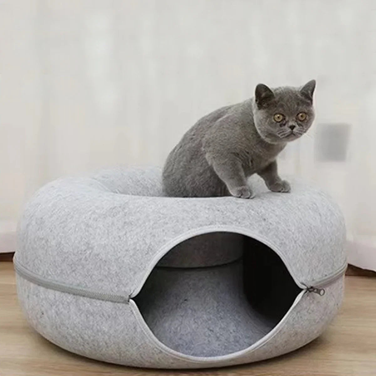 Gray cat on cozy felt cat bed with cave entrance, perfect for indoor pets