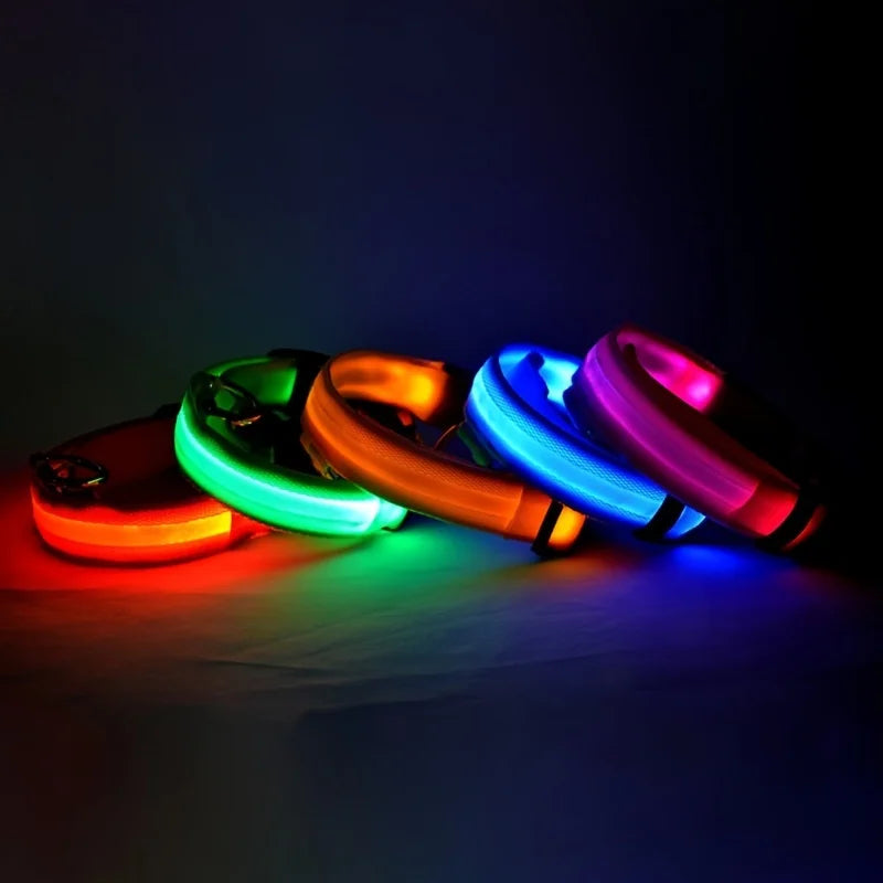 Nylon LED Glow In The Dark Dog Leash