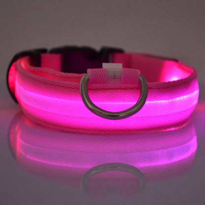 Nylon LED Glow In The Dark Dog Leash