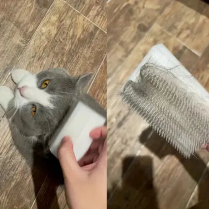 Cat Massage Brush Imitating Cat Tongue Double-Sided Sponge Comb