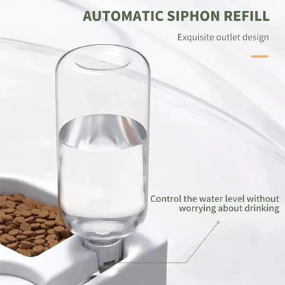 Automatic siphon refill pet waterer with food bowl, clear bottle design for cats and dogs
