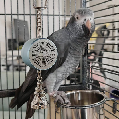 Parrot Talking Coach Interactive Recording Playback
