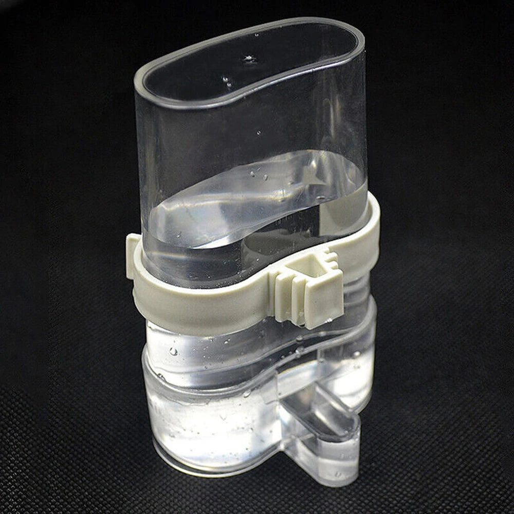 Bird Water Feeder Dispenser Automatic