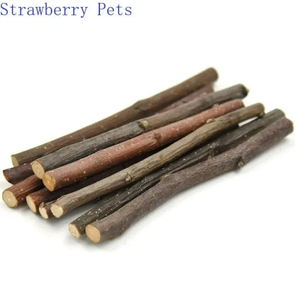 5pcs 10pcs 40pcs Chew Stick Apple Tree Branch Hamster Squirrel Natural Toys