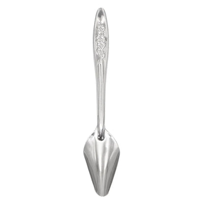 Pet Bird Feeding Food Spoon Stainless Steel