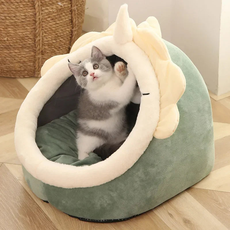 Adorable gray and white kitten in cozy green dragon-shaped cat bed with plush horns