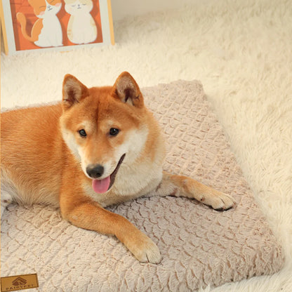 3D Foam Pet Bed With Removable Washable Faux Fur Cover Orthopedic Waterproof  Anti-Slip Bottom