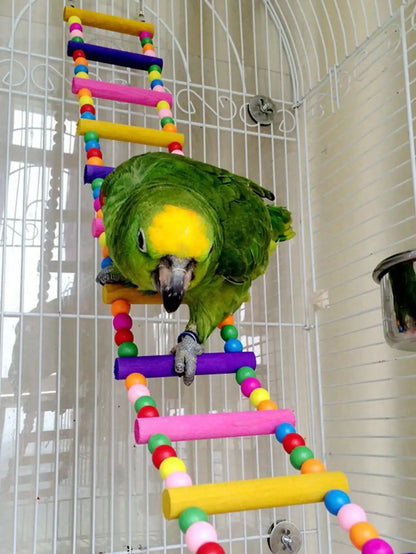 Colorful Wooden Bird Ladder & Swing