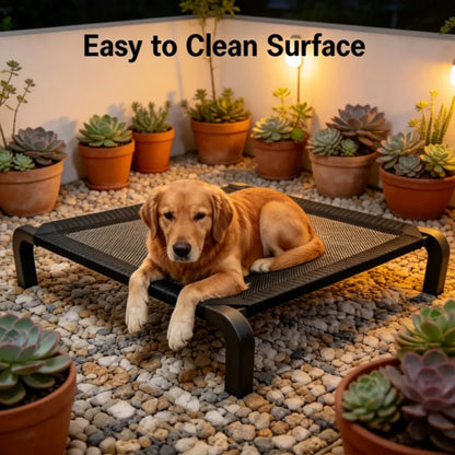 Foldable Dog Bed for All Seasons Detachable Washable Portable Great for travels