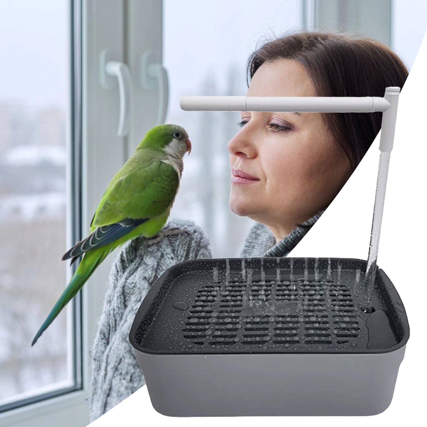 Automatic Electric Bird Bathing Pool And Shower Head with Water Circulation System