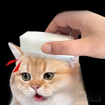 Cat Massage Brush Imitating Cat Tongue Double-Sided Sponge Comb