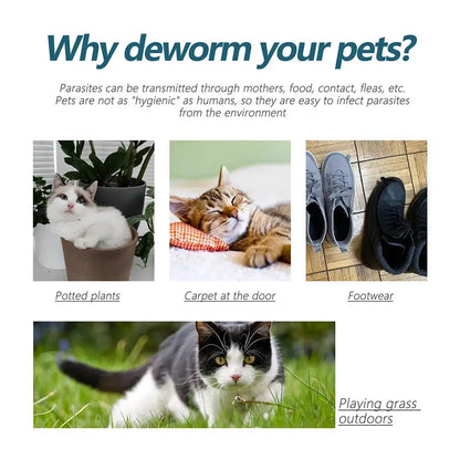 Pet Flea, Lice, Insect Killer Drops, Relieves Itching